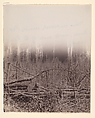 [The Wilderness Battlefield], G. O. Brown  American, Albumen silver print from glass negative