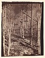 [The Wilderness Battlefield], G. O. Brown  American, Albumen silver print from glass negative