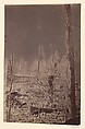 [The Wilderness Battlefield], G. O. Brown  American, Albumen silver print from glass negative