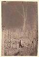 [The Wilderness Battlefield], G. O. Brown  American, Albumen silver print from glass negative