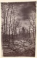 [The Wilderness Battlefield], G. O. Brown  American, Albumen silver print from glass negative