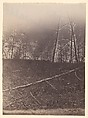[The Wilderness Battlefield], G. O. Brown  American, Albumen silver print from glass negative