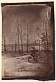 [The Wilderness Battlefield], G. O. Brown  American, Albumen silver print from glass negative