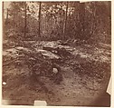 [The Wilderness Battlefield], G. O. Brown  American, Albumen silver print from glass negative