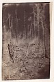 [The Wilderness Battlefield, near Spotsylvania, Virginia], G. O. Brown  American, Albumen silver print from glass negative