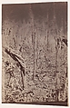 [The Wilderness Battlefield], G. O. Brown  American, Albumen silver print from glass negative