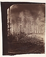 [The Wilderness Battlefield], Unknown (American), Albumen silver print from glass negative
