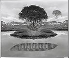 Untitled, Jerry N. Uelsmann  American, Gelatin silver print