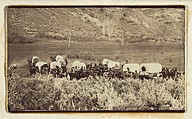 Mormon Emigrant Train, Echo Canyon, Charles William Carter  American, born England, Albumen silver print from glass negative