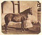 Sultan, Nevil Story Maskelyne  British, Salted paper print from glass negative