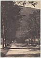 [Allée of Trees, Pau], William Henri Gebhard  American, Salted paper print from paper negative