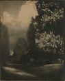 Chestnut Blossoms, Edward J. Steichen  American, born Luxembourg, Gum bichromate over platinum print