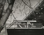 [Tree with Branches, Leaves Foreground; Pedestrians on Elevated Walkway Background], André Kertész  American, born Hungary, Gelatin silver print