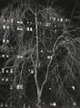 Washington Square, New York, André Kertész American, born Hungary, Gelatin silver print