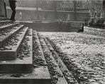 Vert Galant on a Fall Afternoon, Paris, André Kertész American, born Hungary, Gelatin silver print