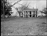 [Bocage Plantation, Burnside Vicinity, Louisiana], Walker Evans  American, Film negative