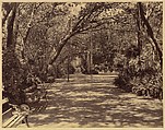 Sookh-Vilas Palace Garden, Lala Deen Dayal  Indian, Albumen silver print from glass negative
