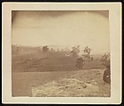[Antietam Battlefield], Alexander Gardner  American, Scottish, Albumen silver print from glass negative