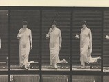 Animal Locomotion.  An Electro-Photographic Investigation... of Animal Movements.  Commenced 1872 - Completed 1885.  Volume VI, Woman (Semi-Nude and Transparent Drapery) Children, Eadweard Muybridge (British and American, Kingston upon Thames 1830–1904 Kingston upon Thames), Photogravures