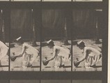 Animal Locomotion.  An Electro-Photographic Investigation... of Animal Movements.  Commenced 1872 - Completed 1885.  Volume VI, Woman (Semi-Nude and Transparent Drapery) Children, Eadweard Muybridge (British and American, Kingston upon Thames 1830–1904 Kingston upon Thames), Photogravures