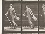 Eadweard Muybridge | Animal Locomotion. An Electro-Photographic ...