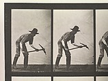 DP275220.jpg