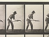 DP275221.jpg