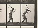 DP275225.jpg