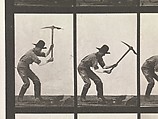 DP275226.jpg