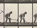 Eadweard Muybridge | Animal Locomotion. An Electro-Photographic ...