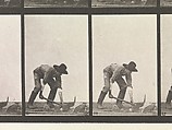 DP275230.jpg