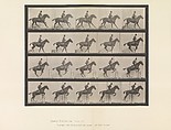 Animal Locomotion.  An Electro-Photographic Investigation of Consecutive Phases of Animal Movements.  Commenced 1872 - Completed 1885.  Volume IX, Horses, Eadweard Muybridge (British and American, Kingston upon Thames 1830–1904 Kingston upon Thames), Photogravures