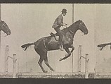 Animal Locomotion.  An Electro-Photographic Investigation of Consecutive Phases of Animal Movements.  Commenced 1872 - Completed 1885.  Volume IX, Horses, Eadweard Muybridge (British and American, Kingston upon Thames 1830–1904 Kingston upon Thames), Photogravures