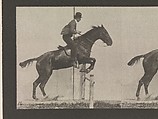 Animal Locomotion.  An Electro-Photographic Investigation of Consecutive Phases of Animal Movements.  Commenced 1872 - Completed 1885.  Volume IX, Horses, Eadweard Muybridge (British and American, Kingston upon Thames 1830–1904 Kingston upon Thames), Photogravures