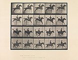 Animal Locomotion.  An Electro-Photographic Investigation of Consecutive Phases of Animal Movements.  Commenced 1872 - Completed 1885.  Volume IX, Horses, Eadweard Muybridge (British and American, Kingston upon Thames 1830–1904 Kingston upon Thames), Photogravures