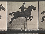 Animal Locomotion.  An Electro-Photographic Investigation of Consecutive Phases of Animal Movements.  Commenced 1872 - Completed 1885.  Volume IX, Horses, Eadweard Muybridge (British and American, Kingston upon Thames 1830–1904 Kingston upon Thames), Photogravures