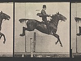 Animal Locomotion.  An Electro-Photographic Investigation of Consecutive Phases of Animal Movements.  Commenced 1872 - Completed 1885.  Volume IX, Horses, Eadweard Muybridge (British and American, Kingston upon Thames 1830–1904 Kingston upon Thames), Photogravures