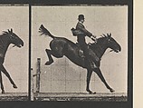 Eadweard Muybridge | Animal Locomotion. An Electro-Photographic Investigation of Consecutive ...