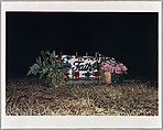 2012.280.5 14 Pictures, William Eggleston (American, born Memphis, Tennessee, 1939), Ink on paper