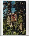 2012.280.9 14 Pictures, William Eggleston (American, born Memphis, Tennessee, 1939), Ink on paper