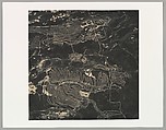 Waterfowl Nesting Site and Wetland Area, Near Sutter Buttes, California, Emmet Gowin  American, Gelatin silver print
