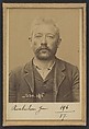 Roubichon. Jean-Marie. né le 14/6/52 à Vannes (Morbihan). Maçon. Anarchiste. 2/7/94., Alphonse Bertillon (French, 1853–1914), Albumen silver print from glass negative