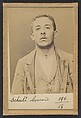 Schulé. Armand. 21 ans, né le 28/2/73 à Choisy-le-Roi. Comptable. Anarchiste. 2/7/94., Alphonse Bertillon (French, 1853–1914), Albumen silver print from glass negative