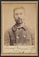 Segard. Philogone. 44 ans (35 ans inscrit sur la photo), né à Salond (Somme). Journaliste. Anarchiste., Alphonse Bertillon (French, 1853–1914), Albumen silver print from glass negative