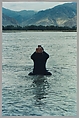 Stamping the Water (Performance in the Lhasa River, Tibet, 1996), Song Dong (Chinese, born Beijing, 1966), Chromogenic prints