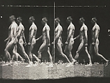 [Man Walking, "Stroboscopic" Photograph], Thomas Eakins  American, Gelatin silver print