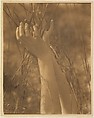 Dana's Hands and Grasses, Long Island, New York, Edward J. Steichen  American, born Luxembourg, Gelatin silver print