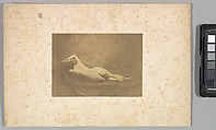 [Nude], Eugène Durieu  French, Salted paper print from paper negative