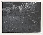 [Innisfree Garden, Millbrook, NY], John Yang  American, Palladium print