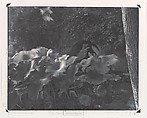 [Innisfree Garden, Millbrook, NY], John Yang  American, Ziatype print